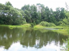 Kliknutím fotografii zvětšíte Jeznice