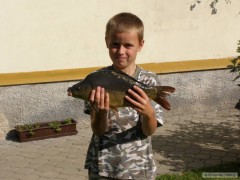 Kapr 42cm