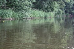 Kliknutím fotografii zvětšíte záběr