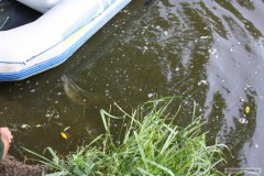 Kliknutím fotografii zvětšíte sumík 108 cm
