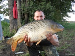 Kliknutím fotografii zvětšíte Kapr 83cm 14kg