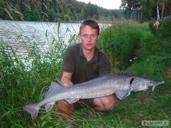 Kliknutím fotografii zvětšíte Překvapení