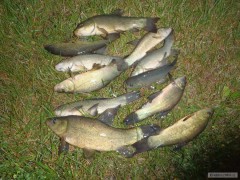L�n� hody