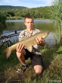 Kliknutím fotografii zvětšíte Amur 66cm -druhy kus
