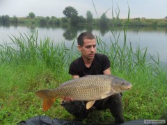 Kliknutím fotografii zvětšíte Kapr 82cm 10kg