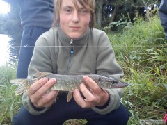 Štika Obecná 35cm
