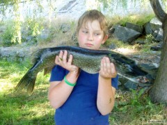 T�tova �tika