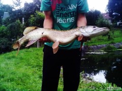 �tIkA 85cm