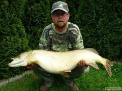 Kliknutím fotografii zvětšíte Neuvěřitelně krásná štika mýho kámoše z malýho rybníčku