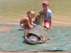 Kliknutím fotografii zvětšíte Ebro 2011
