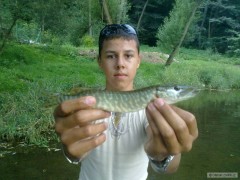 Mal� ryba, taky ryba...... :-)