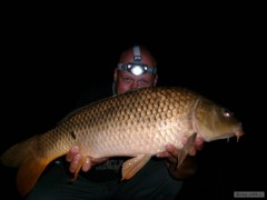Kliknutím fotografii zvětšíte carp