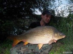 Kliknutím fotografii zvětšíte Kapr 82cm