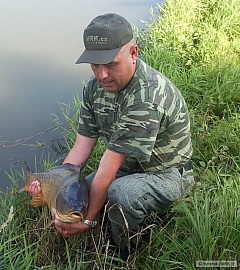 kapr 10,10 kg, 80 cm