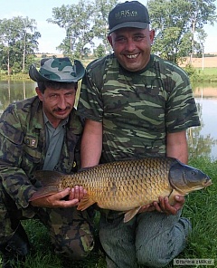 kapr 10,10 kg, 80 cm