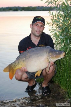 Kliknutím fotografii zvětšíte štít 2011