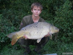 Kapr obecn� 85 cm 