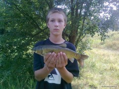 Kliknutím fotografii zvětšíte Amur bílý 41,5cm