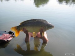 Kliknutím fotografii zvětšíte