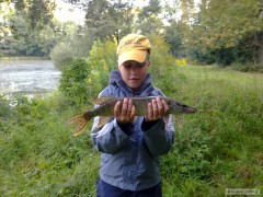 štika 40