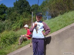 Kliknutím fotografii zvětšíte okounek