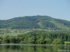 Kliknutím fotografii zvětšíte olesna