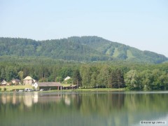 Kliknutím fotografii zvětšíte olesna
