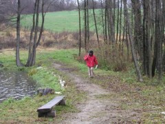Ko�ansk�