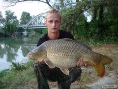 Kliknutím fotografii zvětšíte Carp Italie