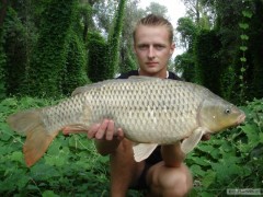 Kliknutím fotografii zvětšíte Carp Italie