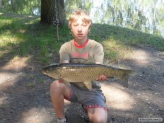 Kliknutím fotografii zvětšíte amur 5,5 kg