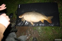 Kliknutím fotografii zvětšíte kapr 90cm15kg