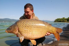 ��rava 15,5kg 88cm