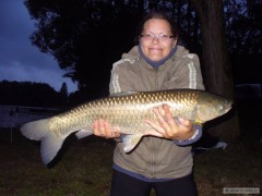 Amur 75 cm