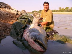 Kliknutím fotografii zvětšíte 217 cm