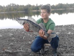 pekn� zub�� 62cm