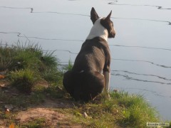 Kliknutím fotografii zvětšíte Hlídá ryby :-))
