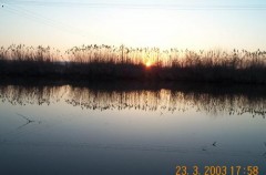 Kliknutím fotografii zvětšíte západ v rákosí