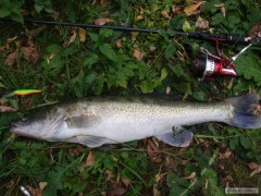Kliknutím fotografii zvětšíte