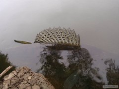 Kliknutím fotografii zvětšíte