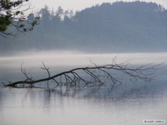 Kliknutím fotografii zvětšíte po bouřce