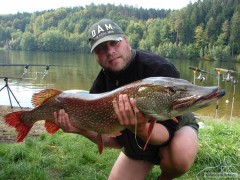 štika 116 cm 12 kg