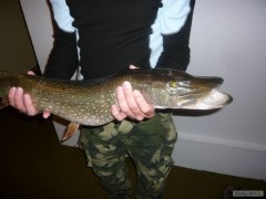 �tika 80cm 3,5kg