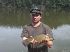 Kliknutím fotografii zvětšíte Lín 44cm