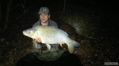 Kapr 84cm, 9kg