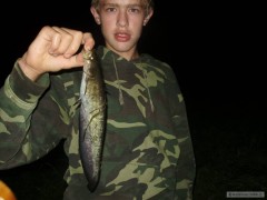 Kliknutím fotografii zvětšíte catfish