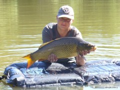 Kliknutím fotografii zvětšíte 7kg 74cm ryba bola vratena do vody