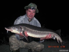 Jeseter 14.74kg