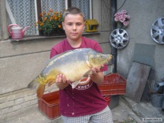 Kliknutím fotografii zvětšíte kapr 64cm