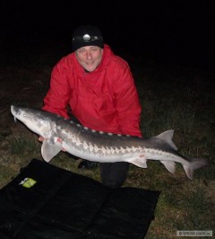Kliknutím fotografii zvětšíte Jeseter 156cm, 26,5kg, Skalička
